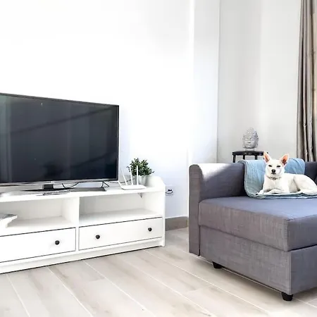 Apartment Casa Alicia Town By Babiniliving